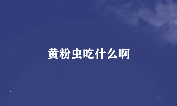 黄粉虫吃什么啊