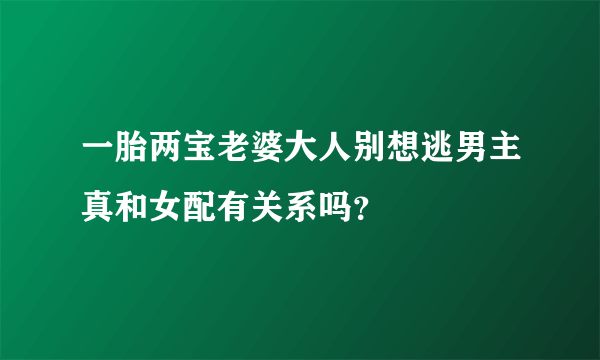 一胎两宝老婆大人别想逃男主真和女配有关系吗？