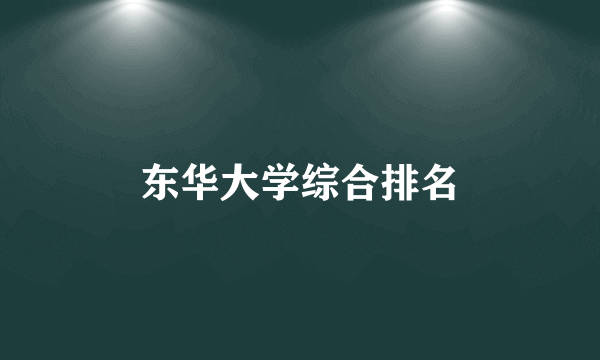 东华大学综合排名