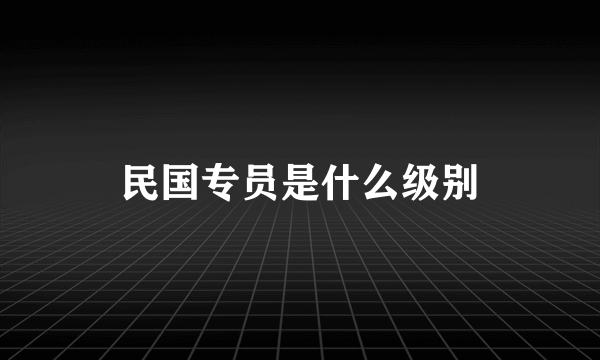 民国专员是什么级别