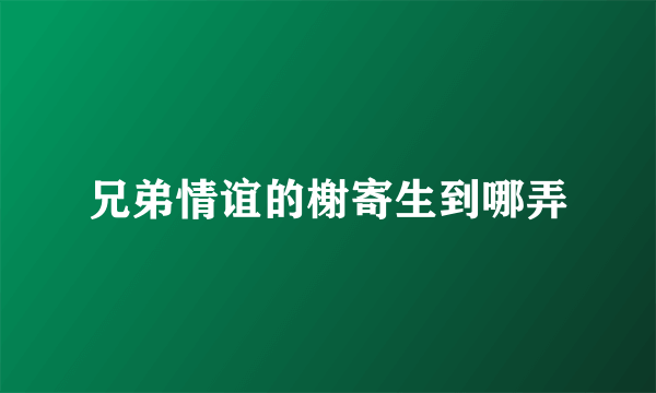 兄弟情谊的榭寄生到哪弄