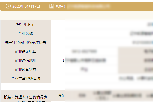 国家企业信用信息公示系统怎么打印不了