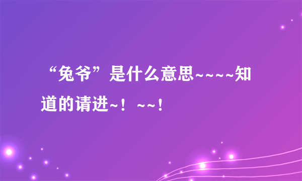 “兔爷”是什么意思~~~~知道的请进~！~~！