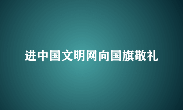 进中国文明网向国旗敬礼