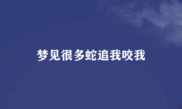 梦见很多蛇追我咬我