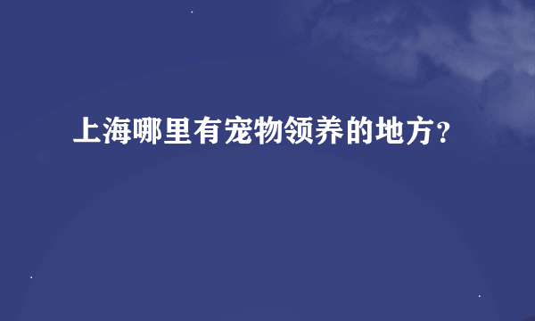 上海哪里有宠物领养的地方？