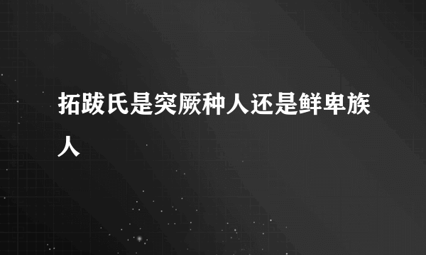 拓跋氏是突厥种人还是鲜卑族人