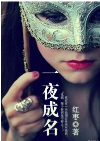 一夜成名小说txt全集免费下载