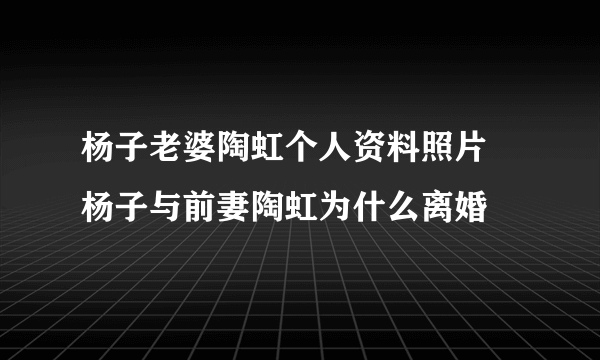 杨子老婆陶虹个人资料照片 杨子与前妻陶虹为什么离婚