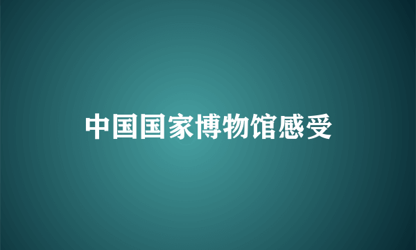 中国国家博物馆感受