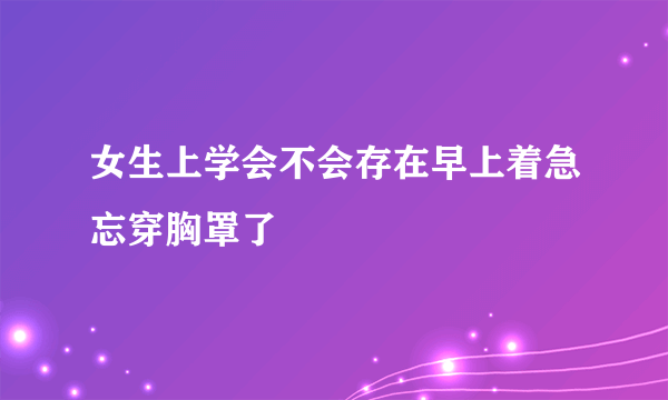 女生上学会不会存在早上着急忘穿胸罩了