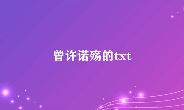 曾许诺殇的txt