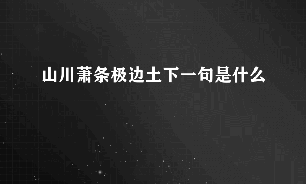 山川萧条极边土下一句是什么