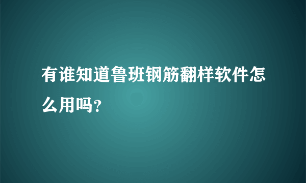 有谁知道鲁班钢筋翻样软件怎么用吗？