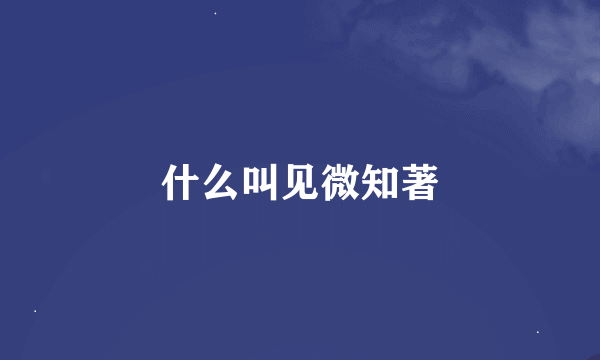 什么叫见微知著