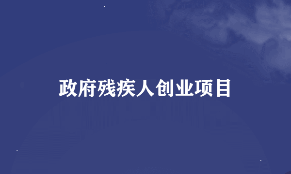 政府残疾人创业项目