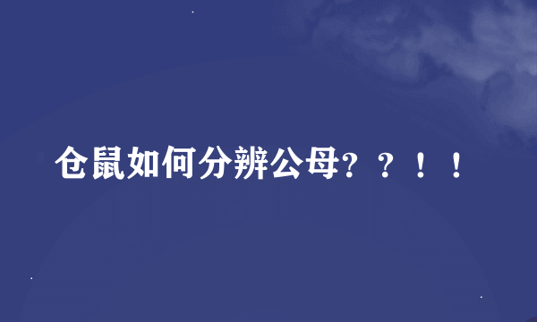 仓鼠如何分辨公母？？！！