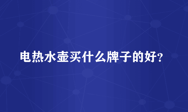 电热水壶买什么牌子的好？