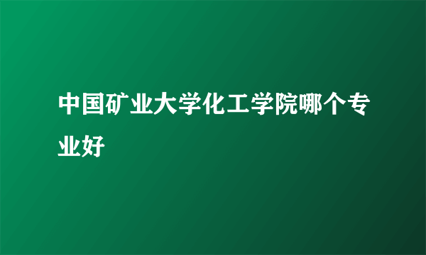 中国矿业大学化工学院哪个专业好