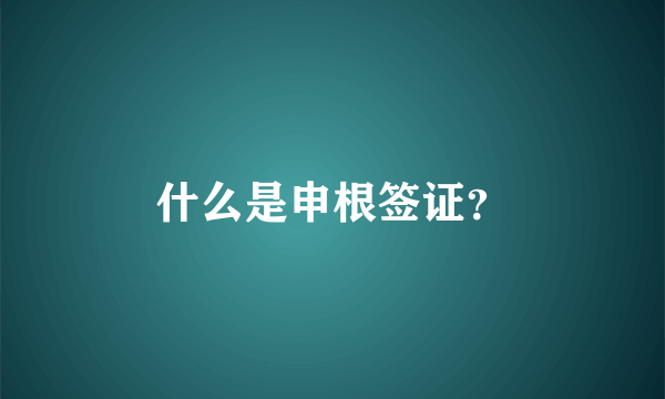 什么是申根签证？