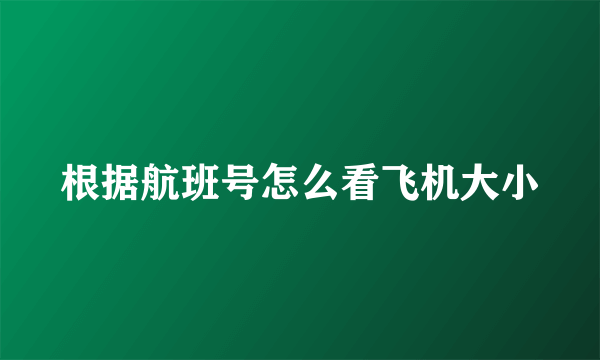 根据航班号怎么看飞机大小