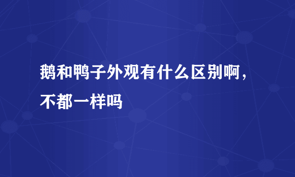 鹅和鸭子外观有什么区别啊，不都一样吗