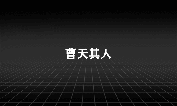 曹天其人