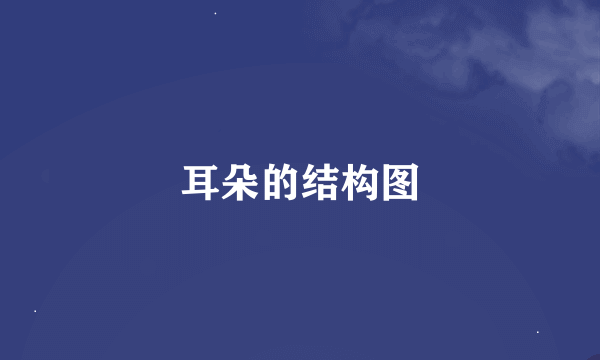 耳朵的结构图