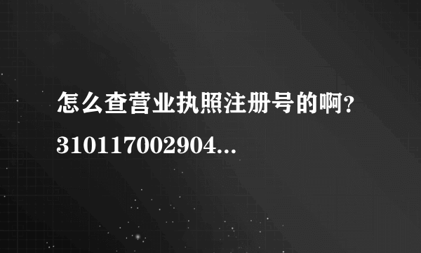 怎么查营业执照注册号的啊？310117002904541怎么查啊，帮忙一下