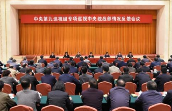 中央巡视工作小组应当加强对什么巡视工作的领导