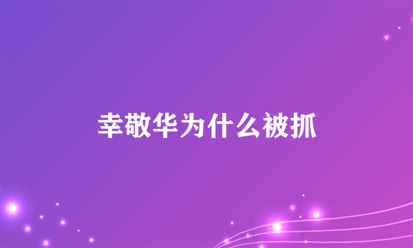 幸敬华为什么被抓