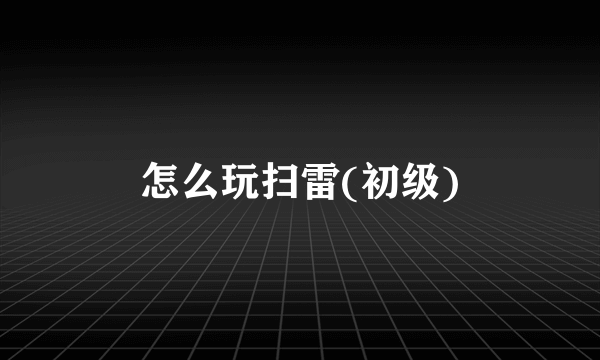 怎么玩扫雷(初级)