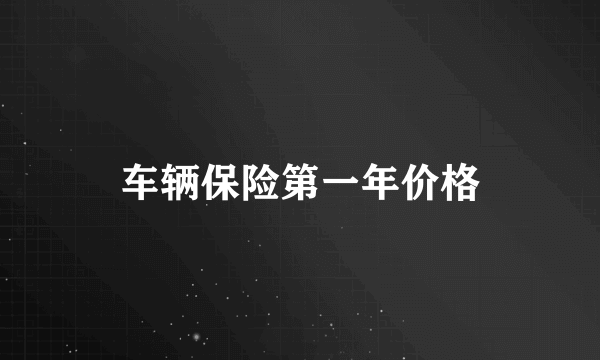 车辆保险第一年价格