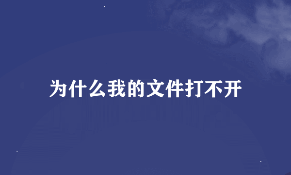 为什么我的文件打不开