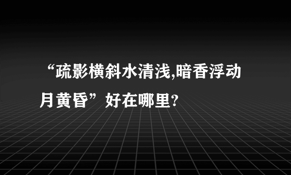 “疏影横斜水清浅,暗香浮动月黄昏”好在哪里?