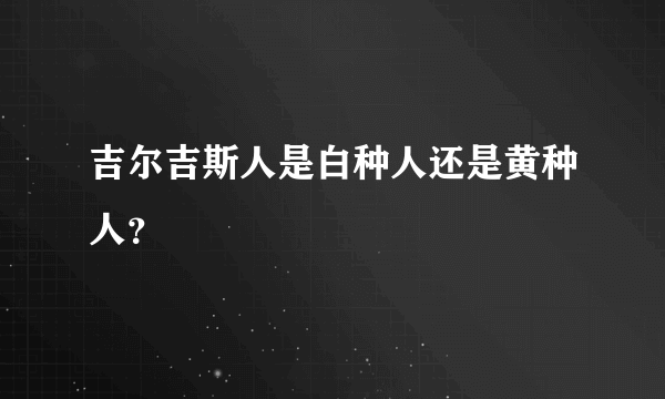 吉尔吉斯人是白种人还是黄种人？
