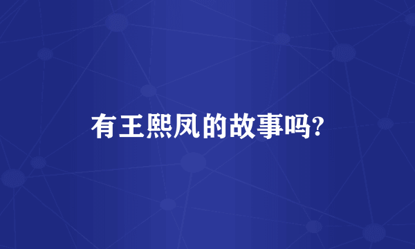 有王熙凤的故事吗?