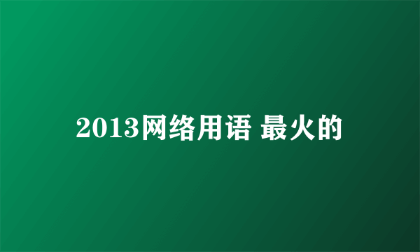 2013网络用语 最火的