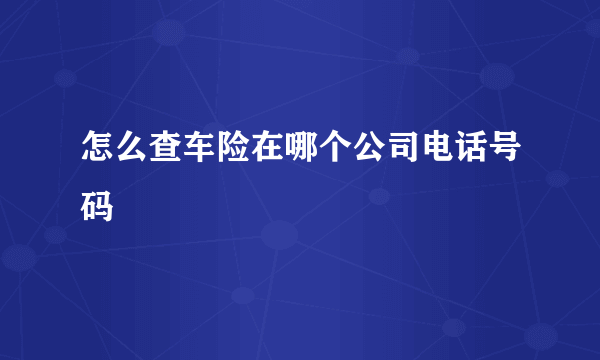 怎么查车险在哪个公司电话号码