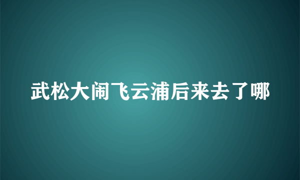 武松大闹飞云浦后来去了哪