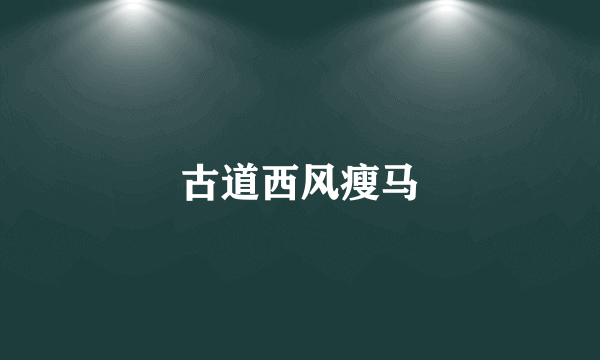 古道西风瘦马