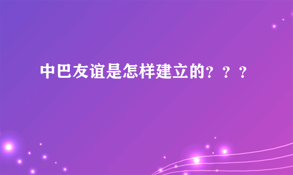 中巴友谊是怎样建立的？？？