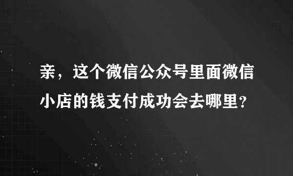 亲，这个微信公众号里面微信小店的钱支付成功会去哪里？
