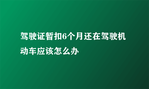 驾驶证暂扣6个月还在驾驶机动车应该怎么办