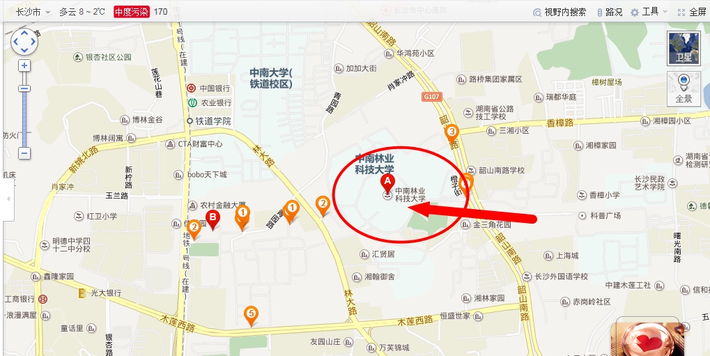 中南林科大位置