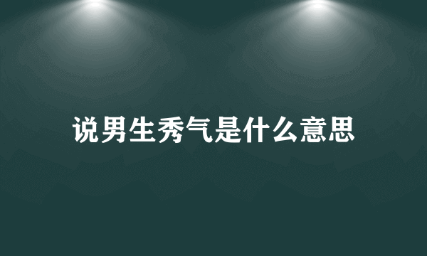 说男生秀气是什么意思