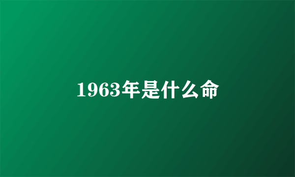 1963年是什么命