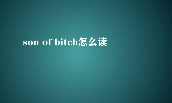 son of bitch怎么读