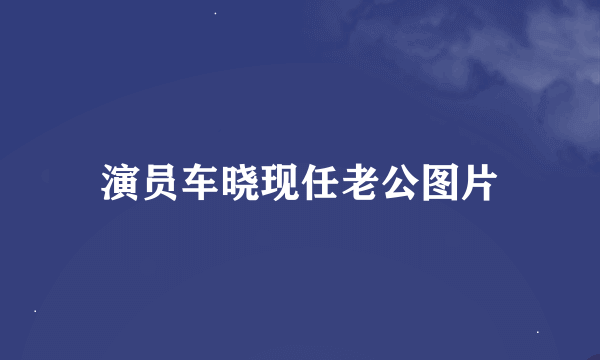 演员车晓现任老公图片
