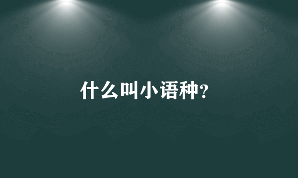 什么叫小语种？